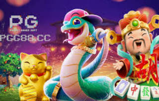 熊猫体育下载最新版